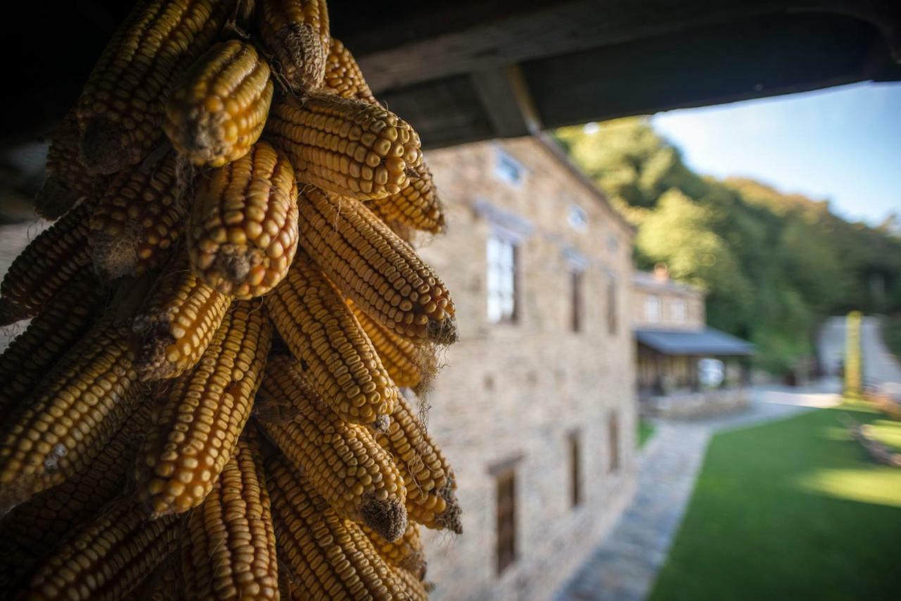 Вилла Complejo Rural Casona De Лабрада Экстерьер фото